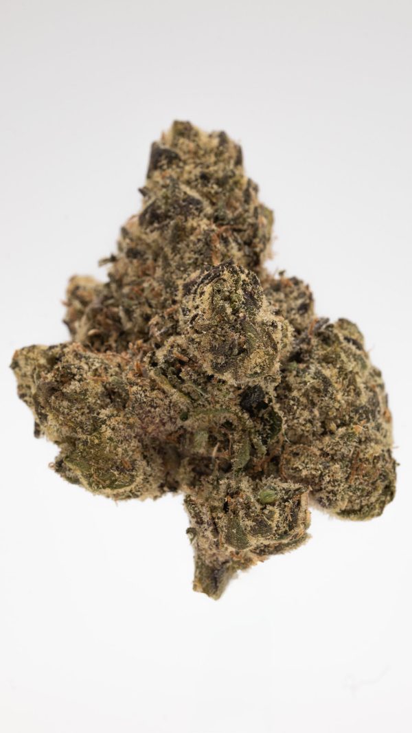 LEMON CHERRY GELATO - Image 2